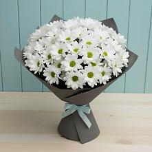 Букет цветов из:  Хризантемы в Шентала