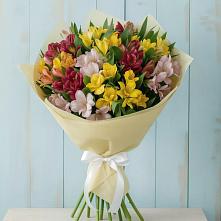 Букет цветов из:  Альстромерии в Шентала