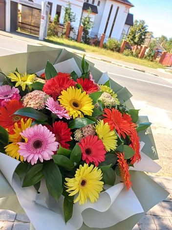 Букет цветов из: Герберы в Шентала